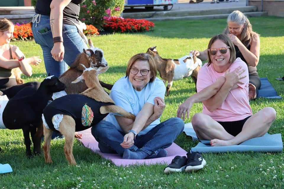 Goat Yoga!