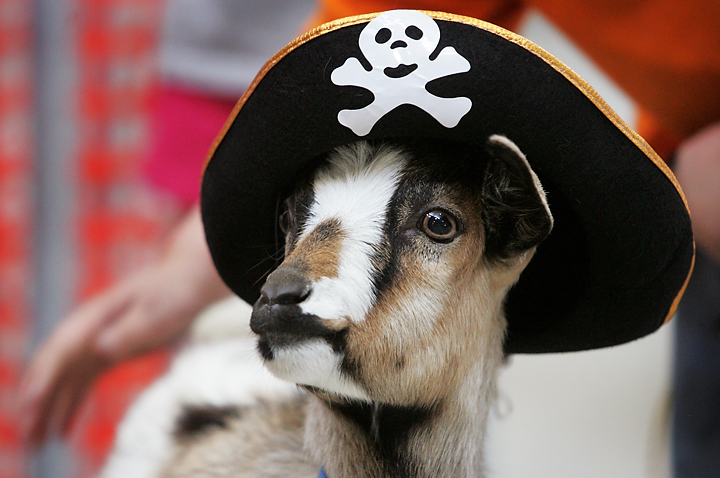 Goat Yoga: Halloween Edition: Baaah-maste!